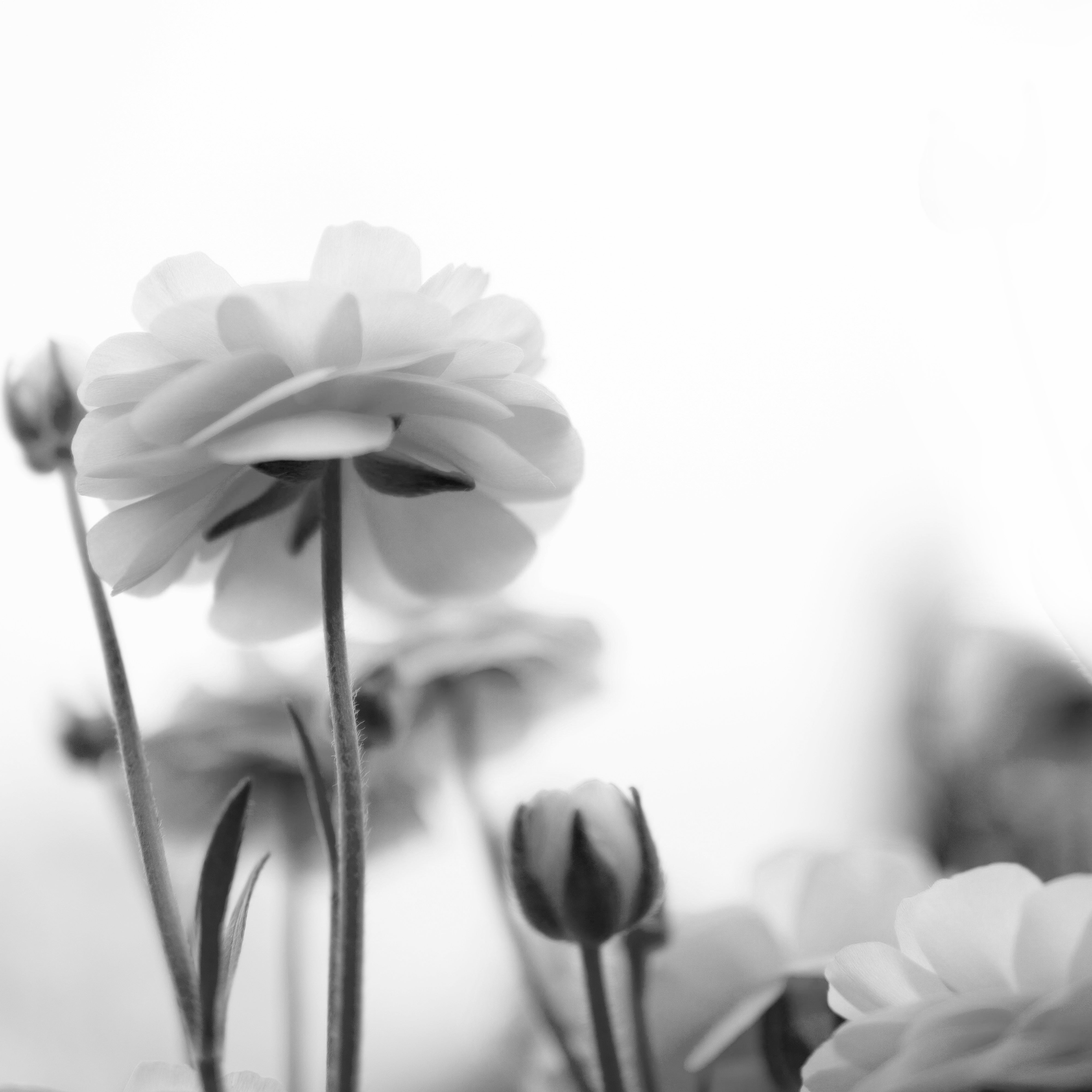 Feuchtigkeit & reichhaltig - passt das zusammen?