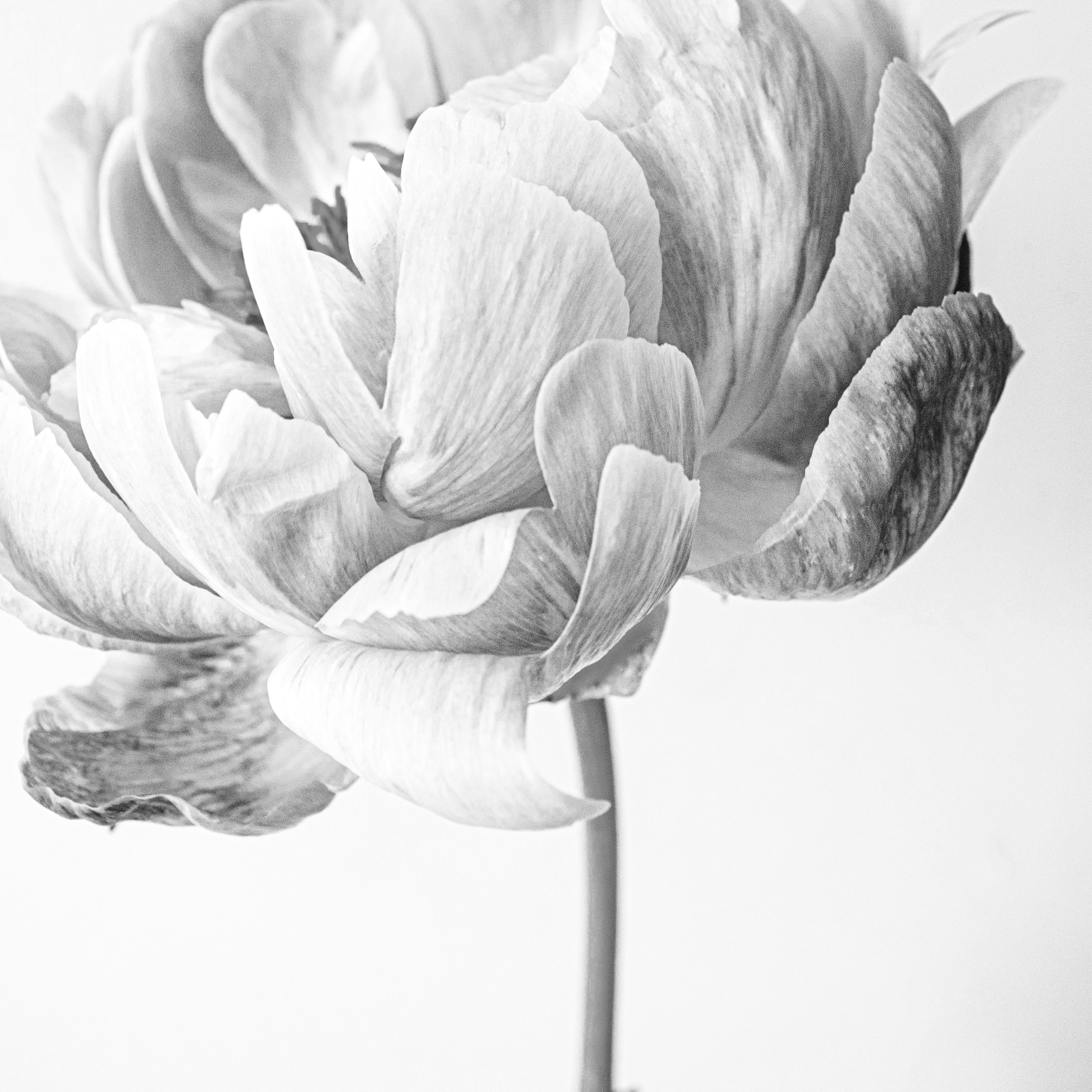 Nachhaltig oder nicht?